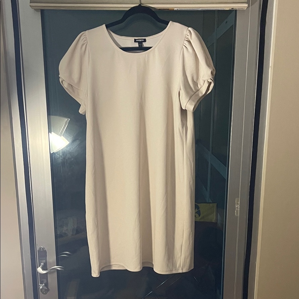 Express Cream Puff Sleeve Mini Dress